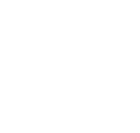 logo-stern